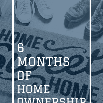 6 months of ownership – August to January