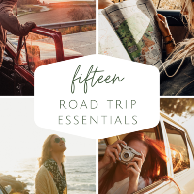 Best Car Accessories for Road Trips